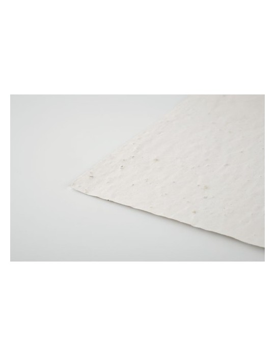 Papier A5 Graines de Fleurs - et Pratique Personnalisée pas cher