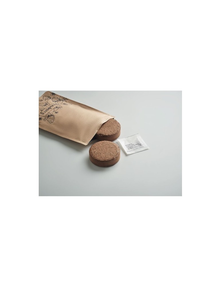 Kit de Culture de Fraises Personnalisé - FRESA KIT