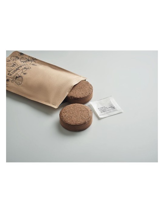 Kit de Culture de Fraises Personnalisé - FRESA KIT