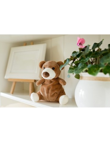 Ours en peluche | Ragan 2
