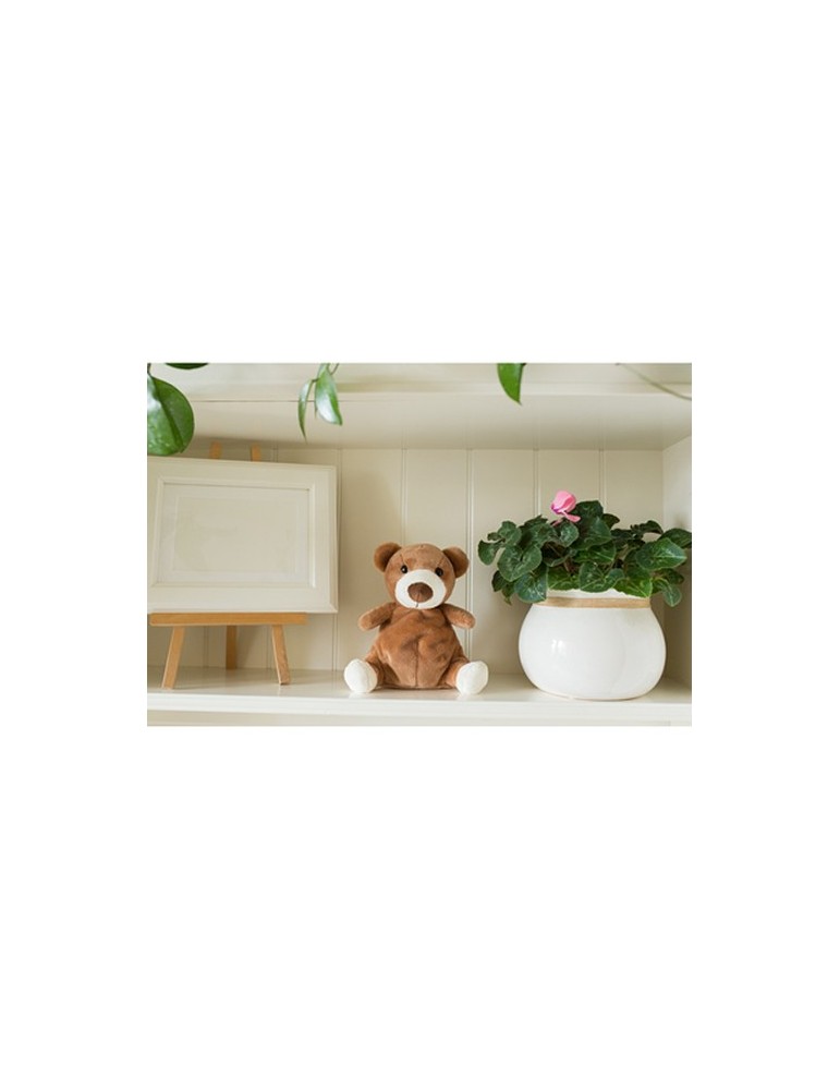 Ours en peluche | Ragan
