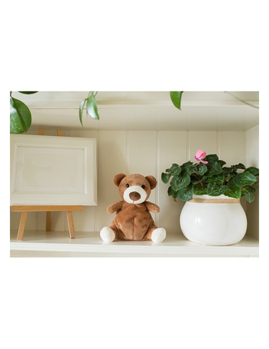 Ours en peluche | Ragan