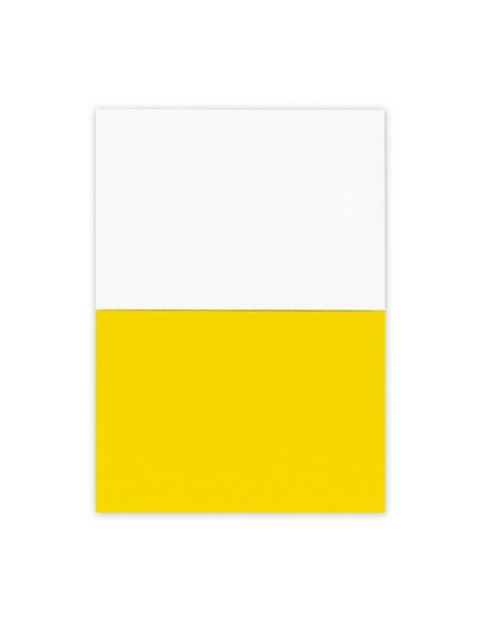 Notes autocollantes électrostatiques | Rolly