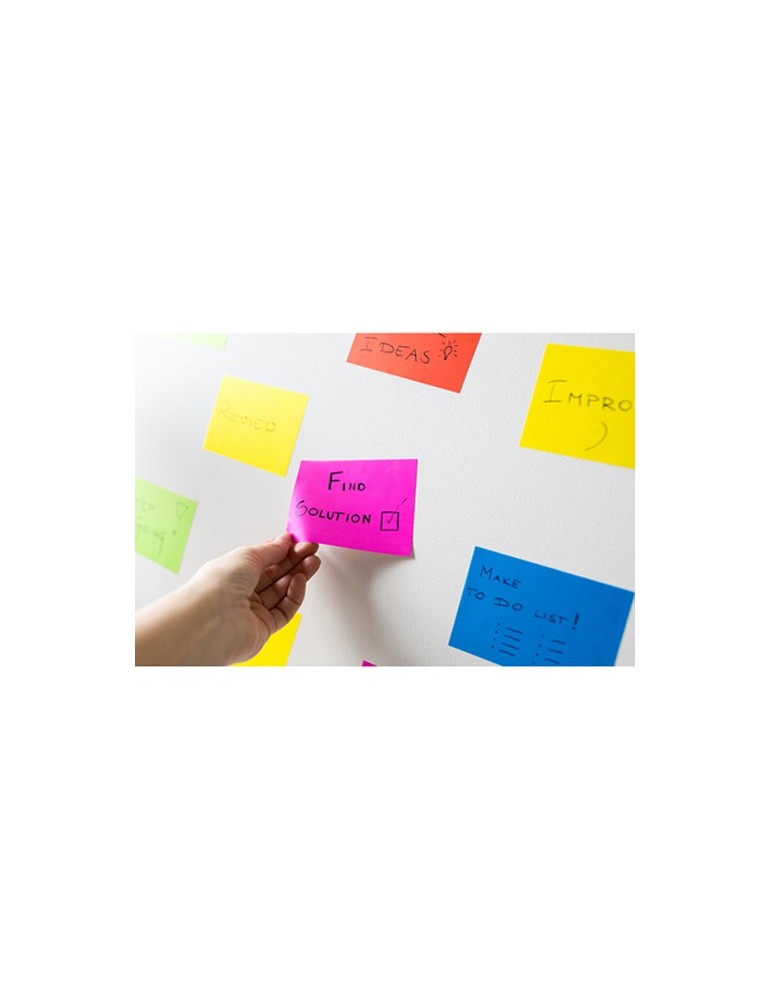 Notes autocollantes électrostatiques | Rolly