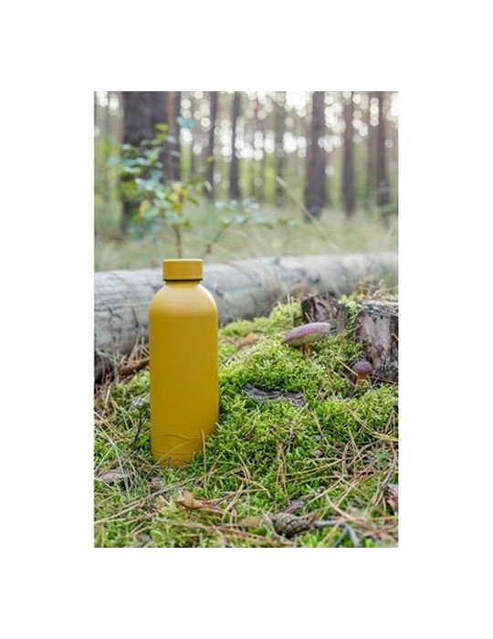 Bouteille isotherme 500 ml | Terryl