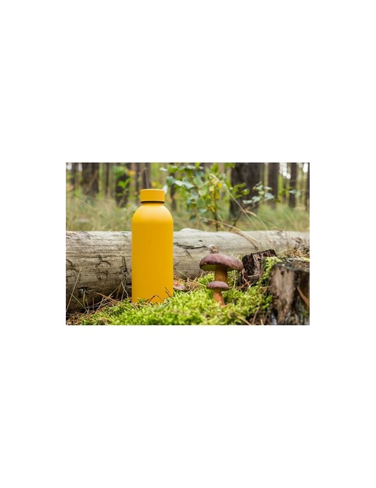 Bouteille isotherme 500 ml | Terryl