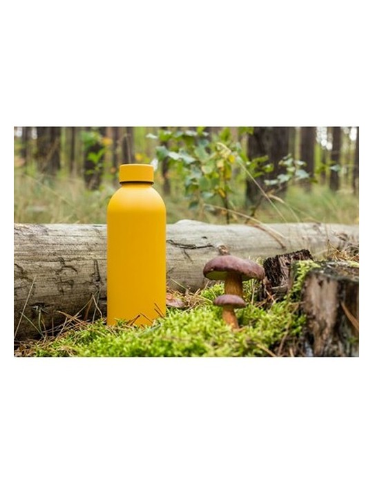 Bouteille isotherme 500 ml | Terryl