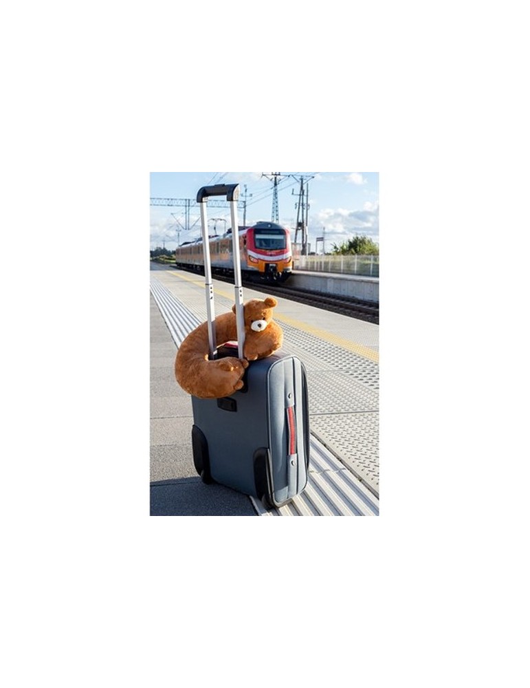 Ours en peluche, coussin de voyage | Triperd
