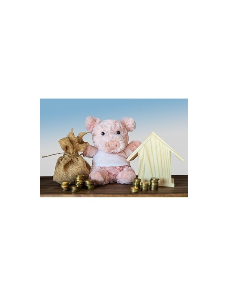 Cochon en peluche | Tailyssia