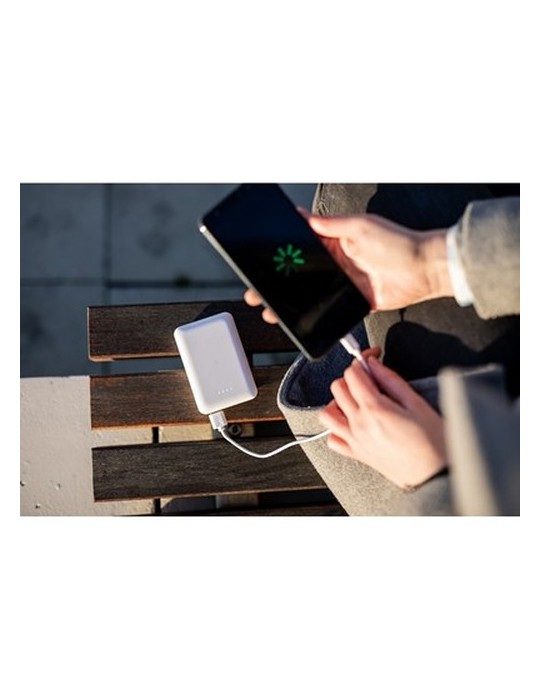 Power Bank 10000 mAh | Hart