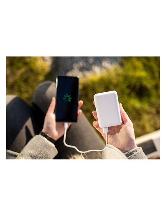 Power Bank 10000 mAh | Hart