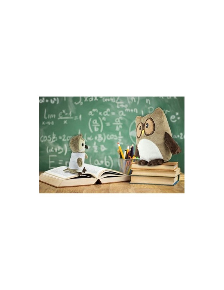 Peluche hibou, oreiller | Professowl