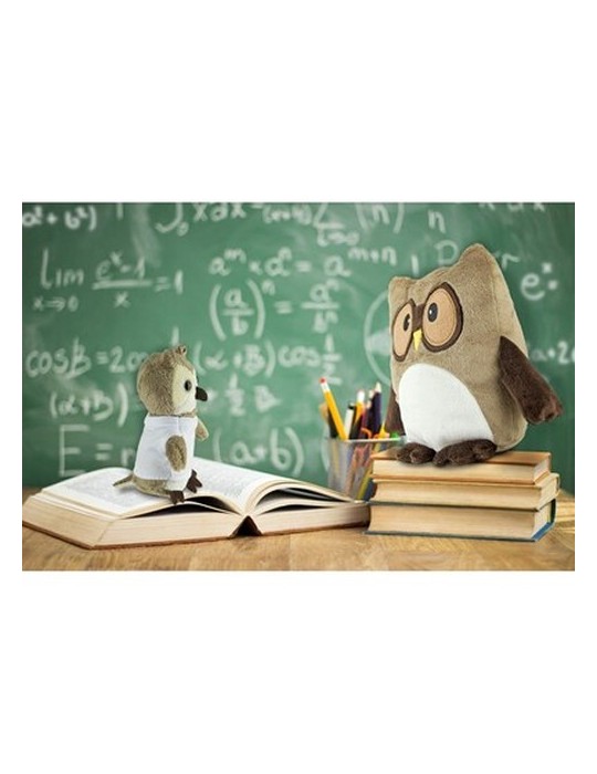 Peluche hibou, oreiller | Professowl