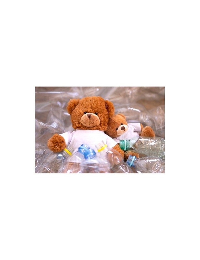 Ours en peluche RPET | Denis R