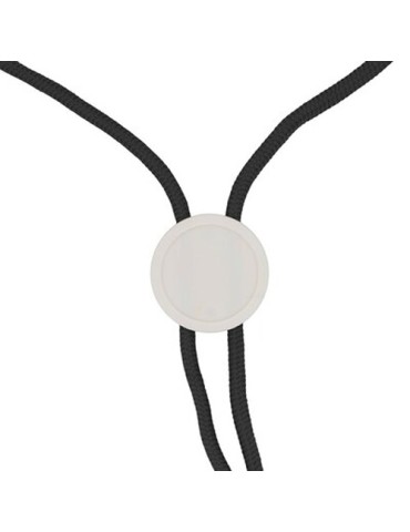 Lanyard 2