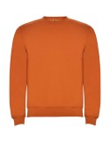 Sweat-shirt enfant classique, 24 coloris, logo brodé | Clasica