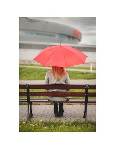 Parapluie automatique | Dwight 2