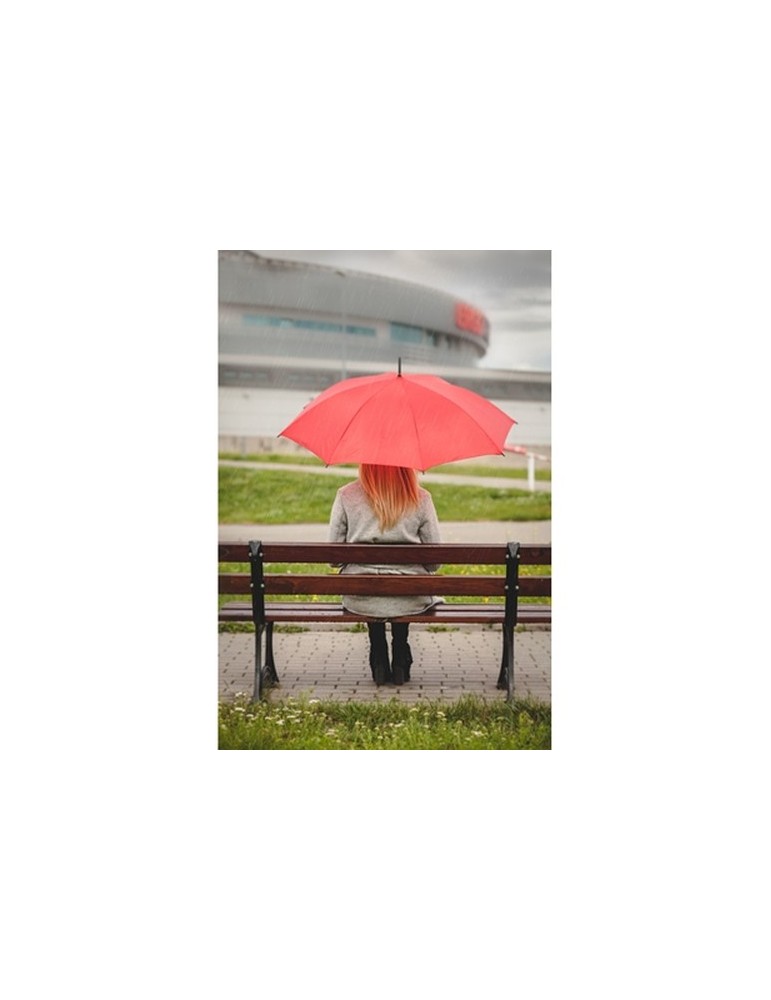 Parapluie automatique | Dwight