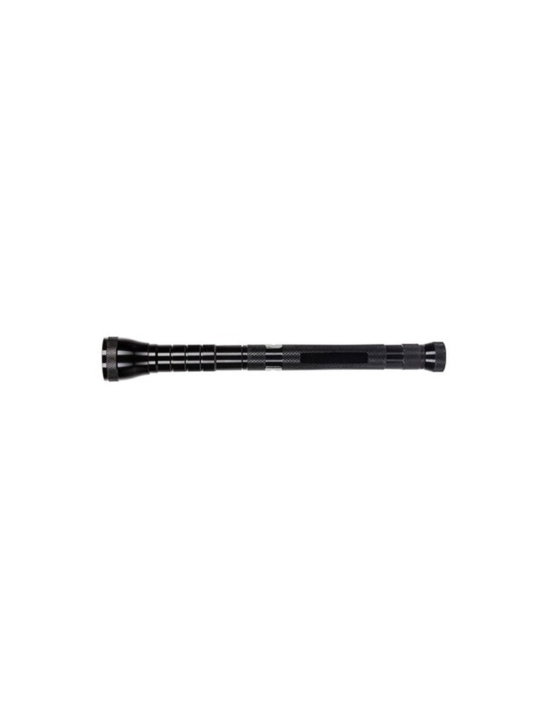 Torche COB | Scout