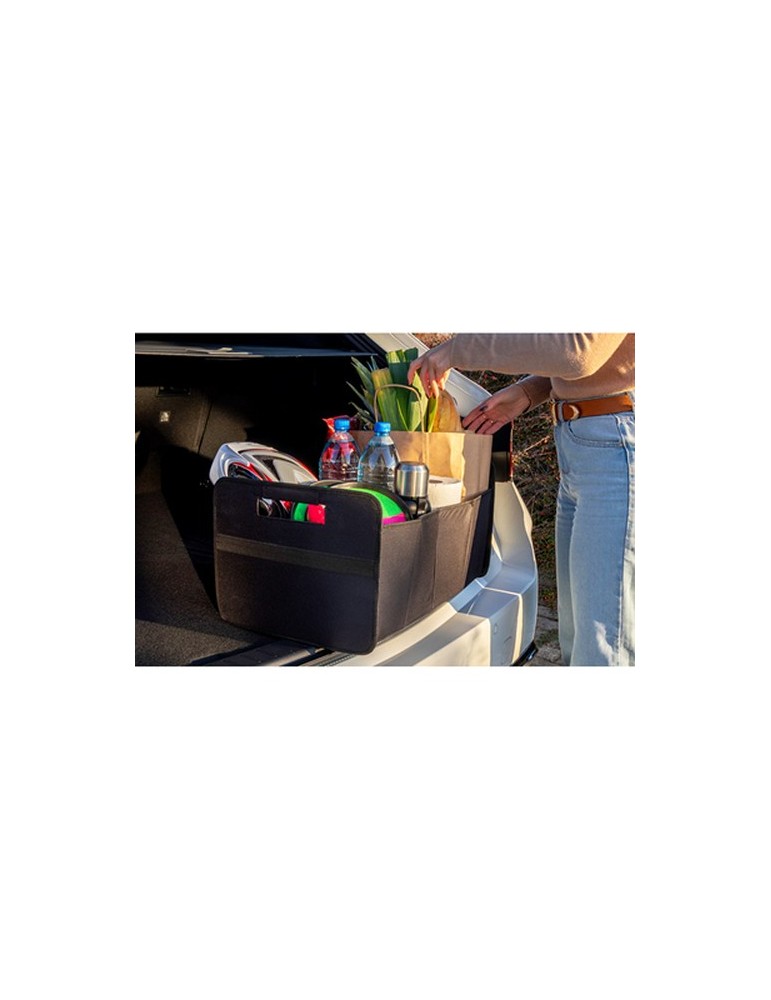 Organiseur de voiture pliable | Reign