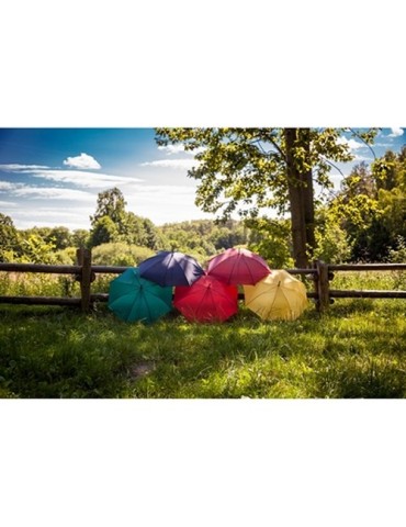 Parapluie automatique | Hayden 2