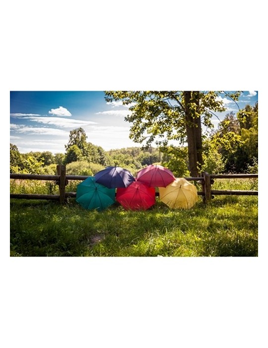 Parapluie automatique | Hayden