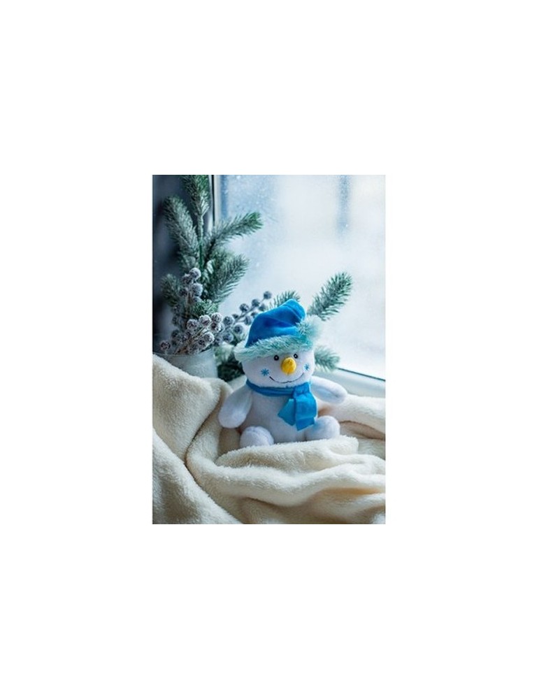 Bonhomme de neige | Brennan
