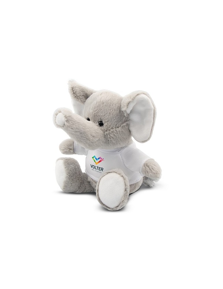 Éléphant | Samson