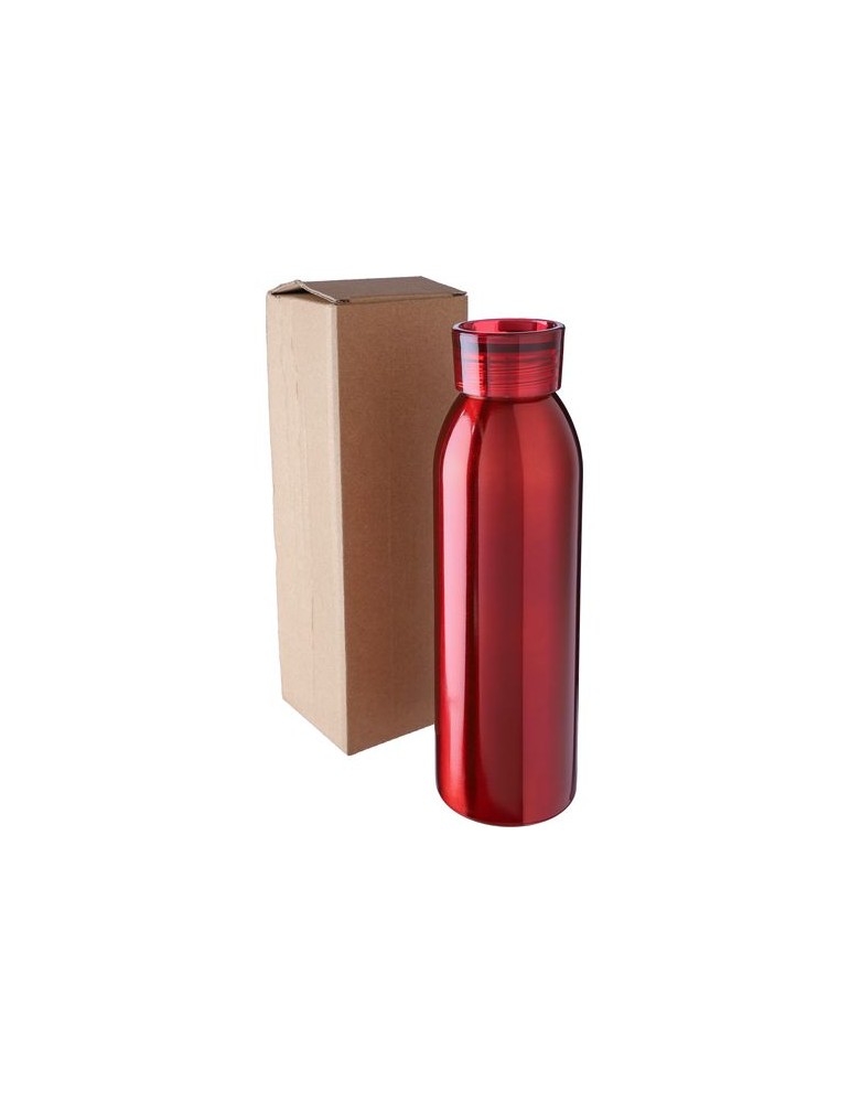 Gourde de 650 ml en acier inoxydable personnalisée Cindy