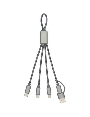 Câble de chargement publicitaire Brandcharger Trident 2