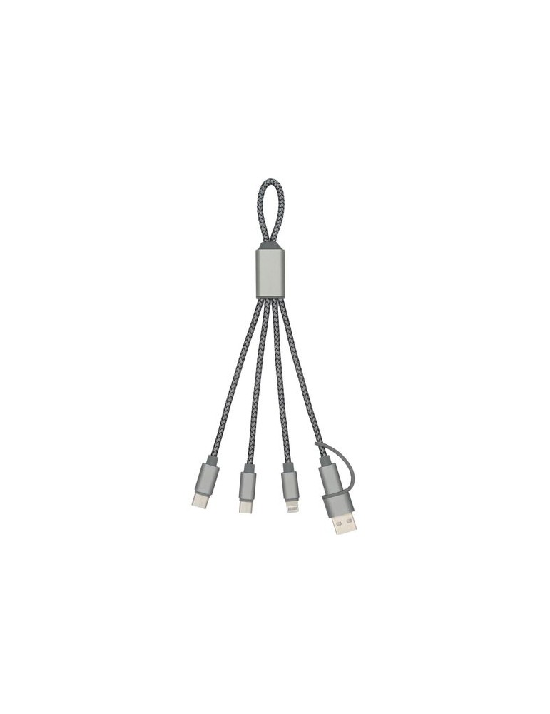 Câble de chargement publicitaire Brandcharger Trident 2