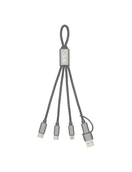 Câble de chargement publicitaire Brandcharger Trident 2