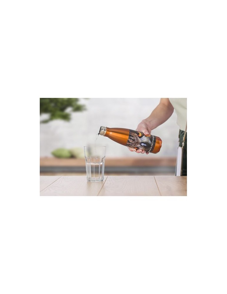 Gourde simple paroi 650 ml en acier inoxydable personnalisée