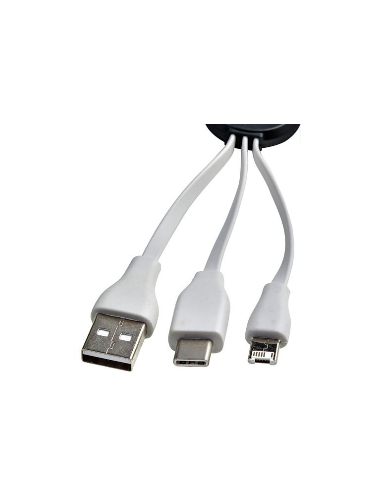 Câbles de charge adaptateurs pratiques personnalisés Pilar