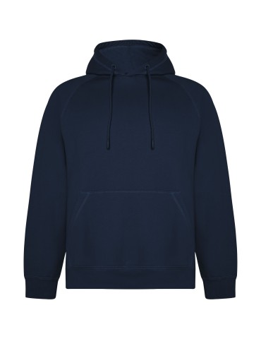 Sweat à capuche de 300 g/m² Vinson en coton organique unisexe