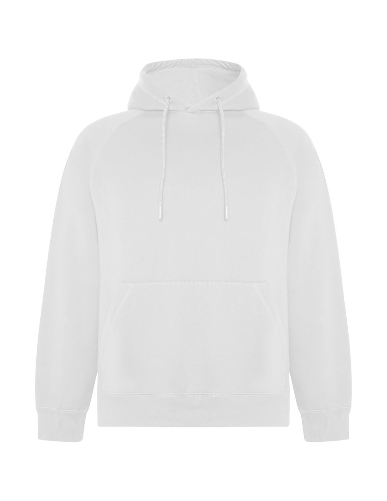 Sweat à capuche de 300 g/m² Vinson en coton organique unisexe