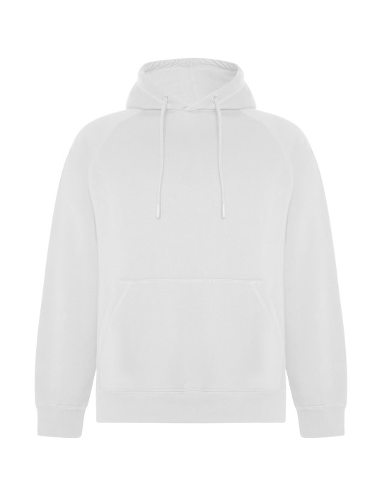 Sweat à capuche de 300 g/m² Vinson en coton organique unisexe