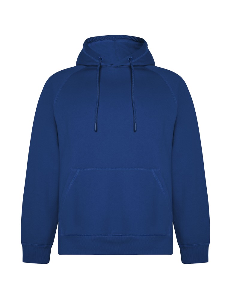 Sweat à capuche de 300 g/m² Vinson en coton organique unisexe