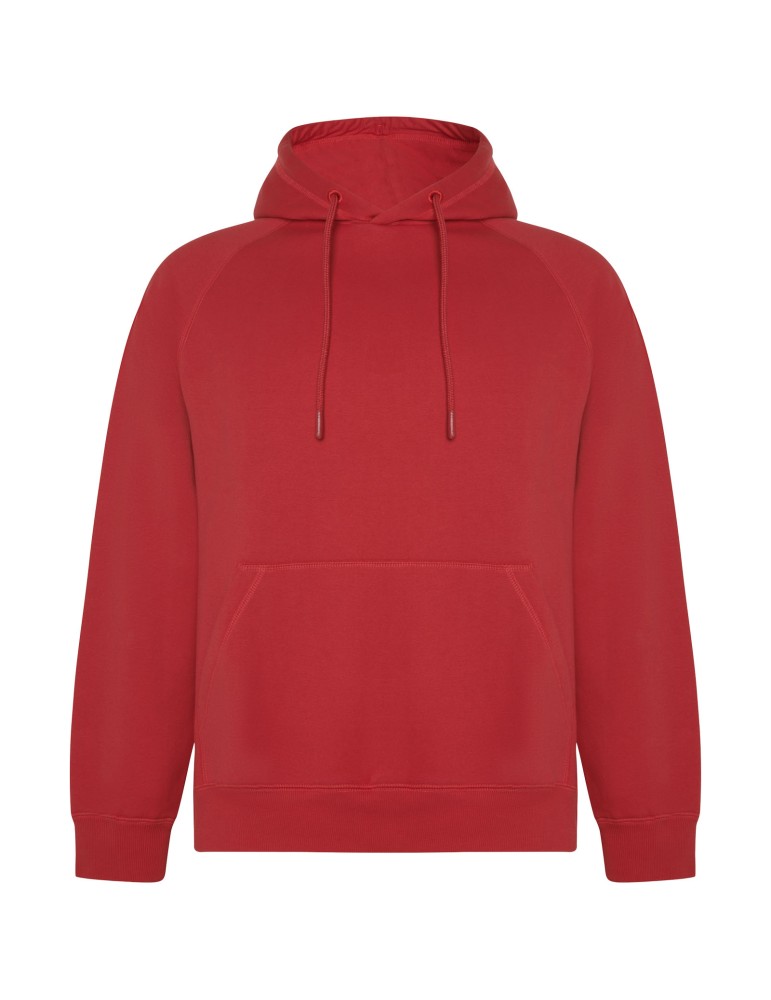 Sweat à capuche de 300 g/m² Vinson en coton organique unisexe
