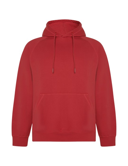 Sweat à capuche de 300 g/m² Vinson en coton organique unisexe