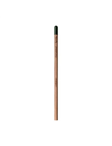 Sproutworld Unsharpened Pencil crayon non taillé 2