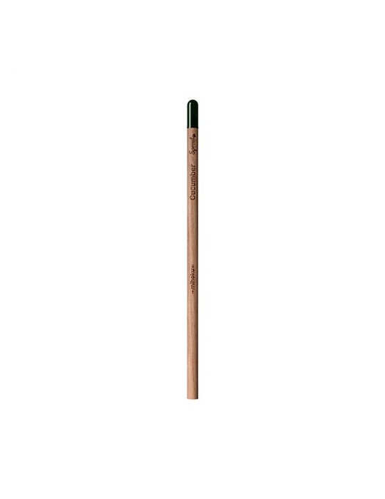 Sproutworld Unsharpened Pencil crayon non taillé