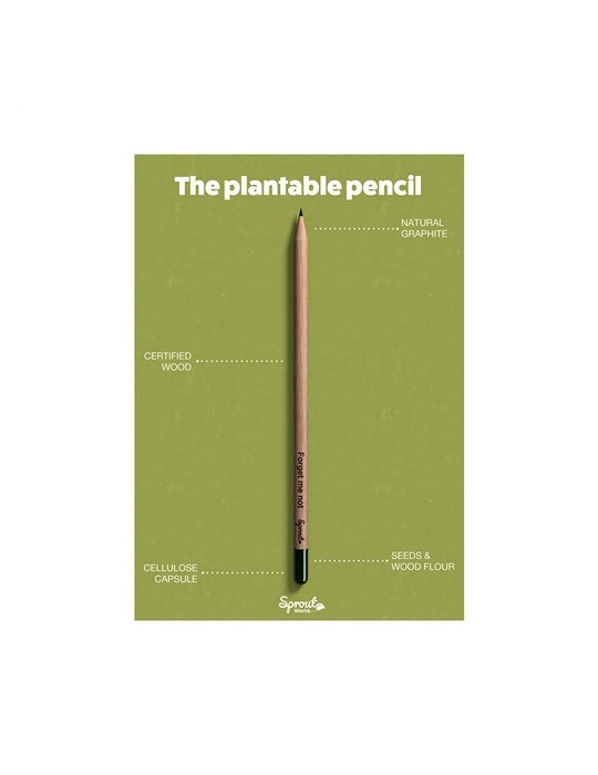 Sproutworld Unsharpened Pencil crayon non taillé