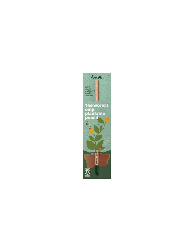 Sproutworld Unsharpened Pencil crayon non taillé