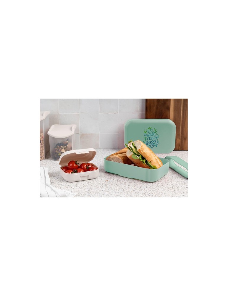 Amuse Classic Lunchbox Medium