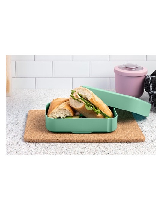 Amuse Classic Lunchbox Medium