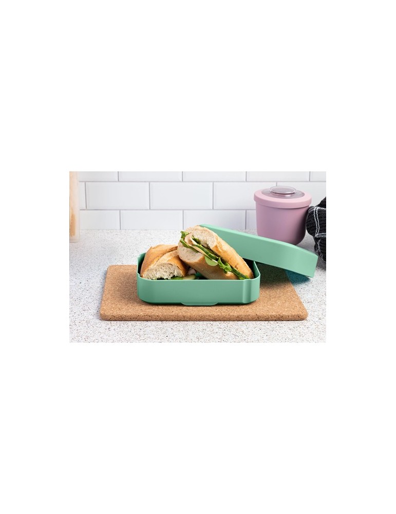 Amuse Classic Lunchbox Medium