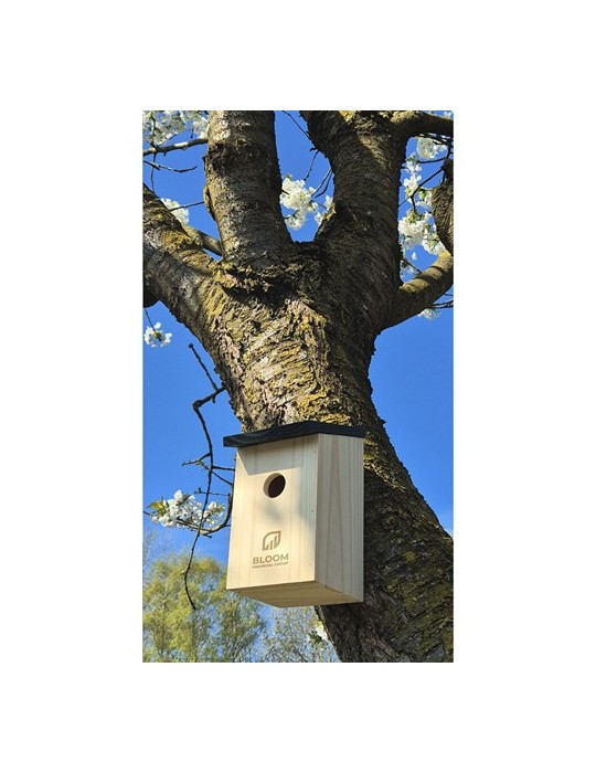 Birdhouse nichoir