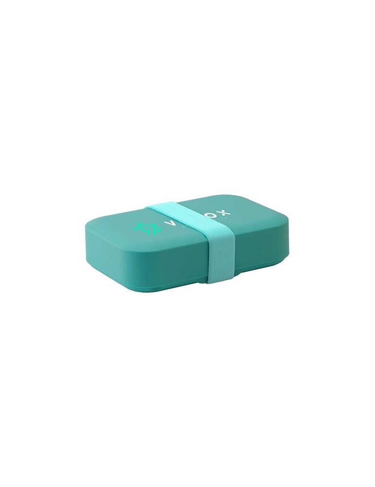 Day to Day Lunchbox Elastic 1100 ml boîte à lunch