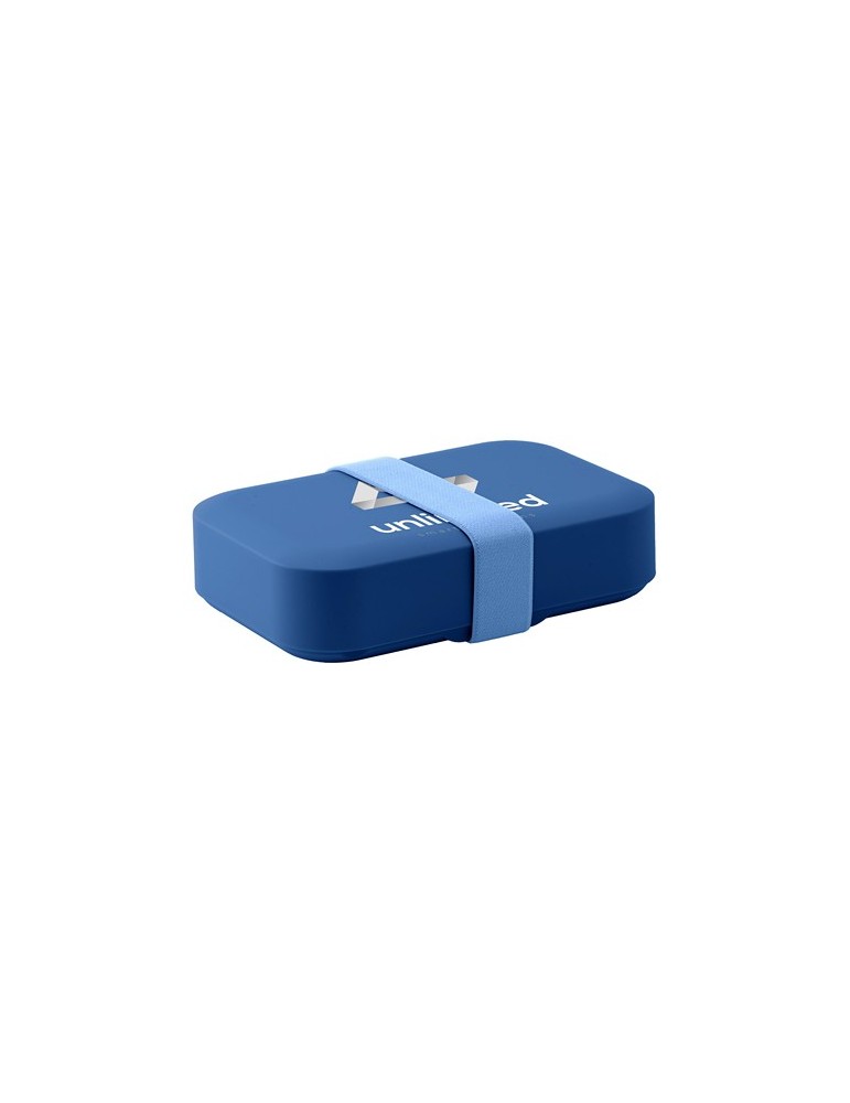 Day to Day Lunchbox Elastic 1100 ml boîte à lunch